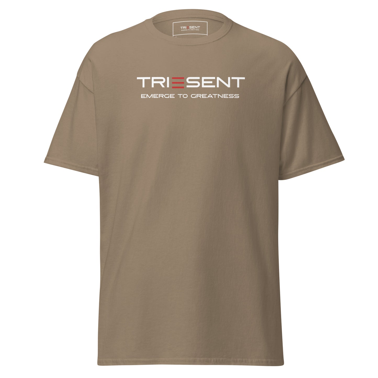 TRIESENT Men's classic tee