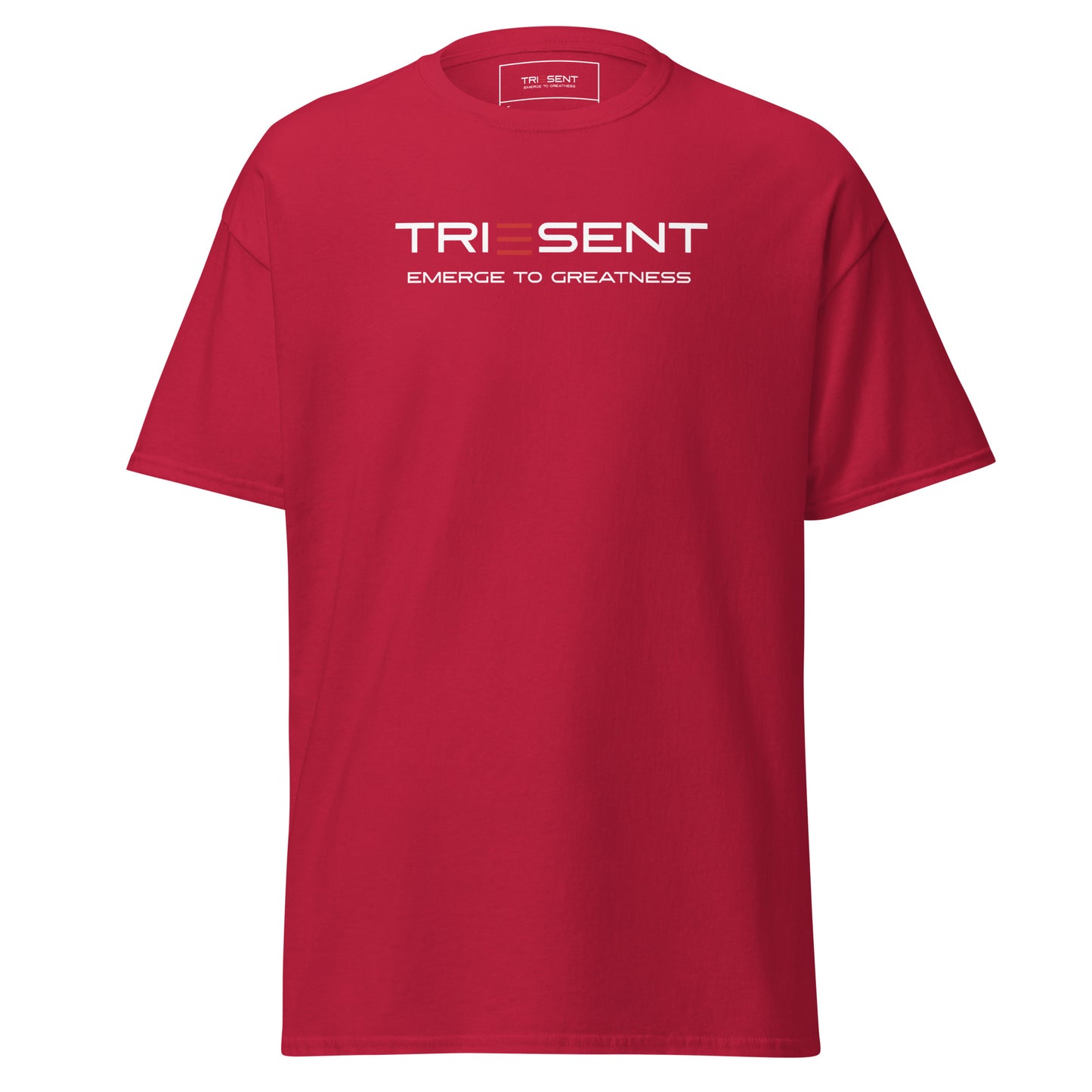 TRIESENT Men's classic tee