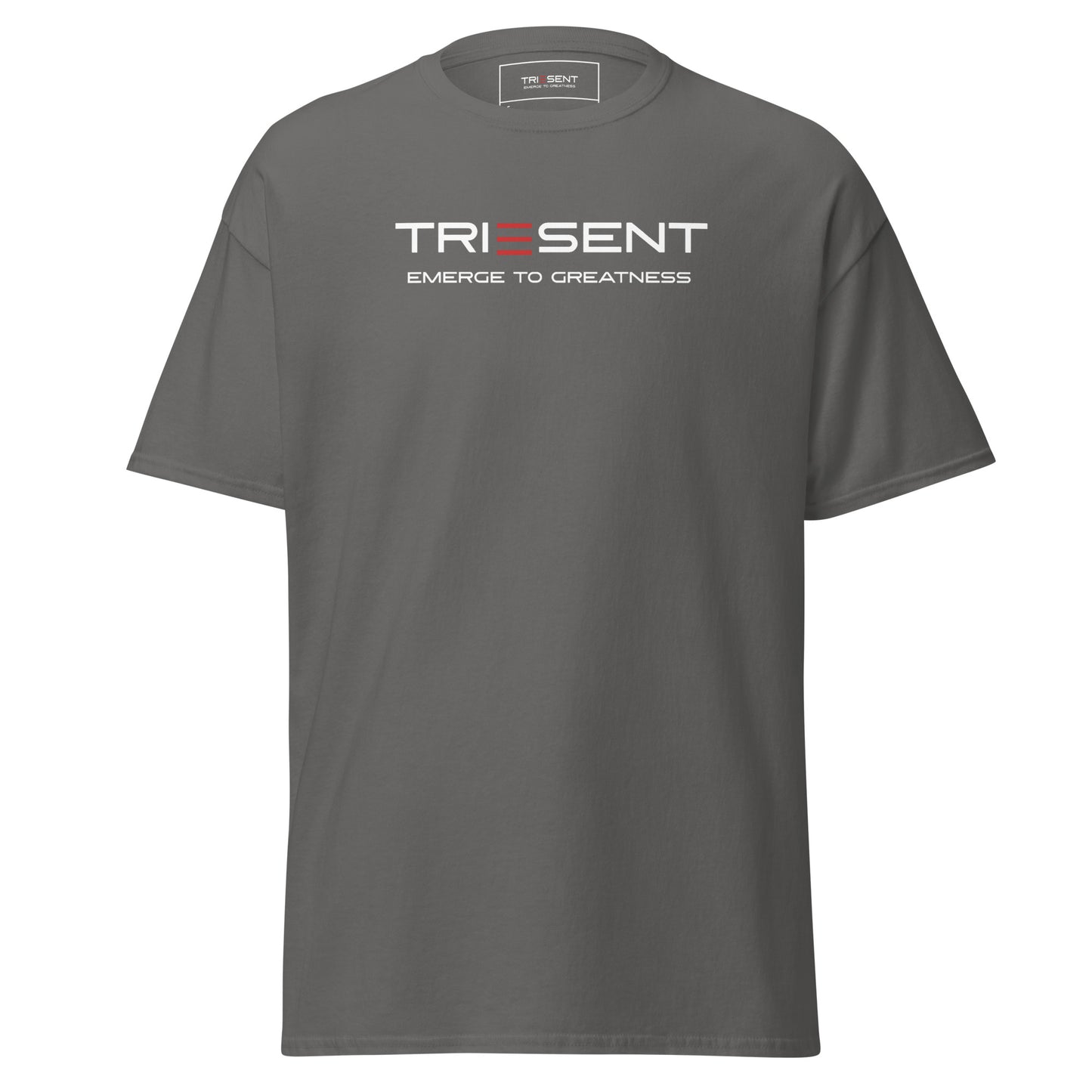 TRIESENT Men's classic tee
