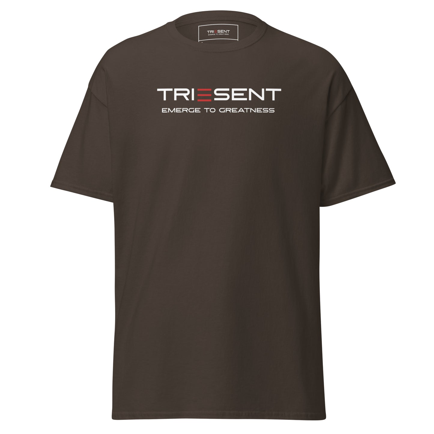TRIESENT Men's classic tee