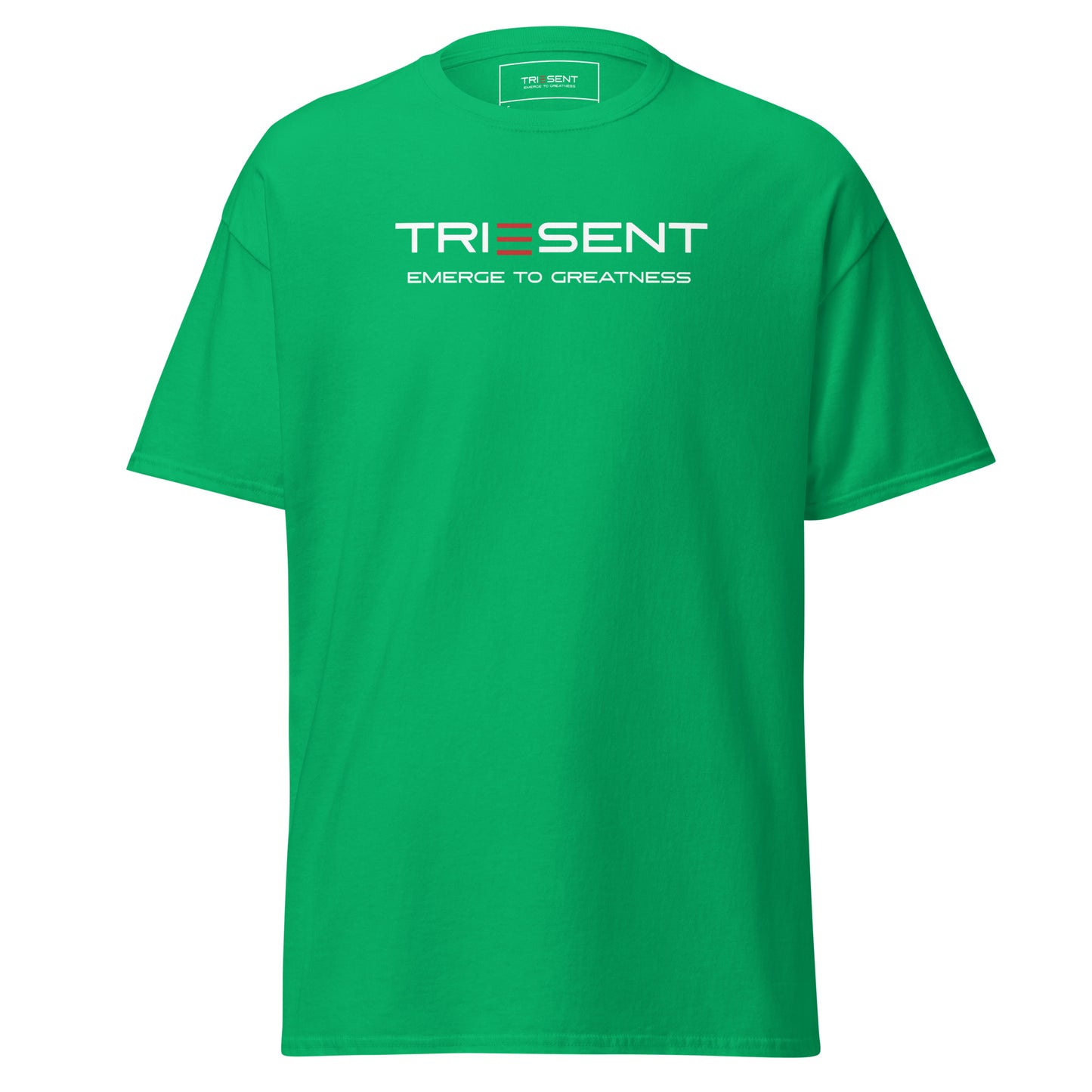 TRIESENT Men's classic tee