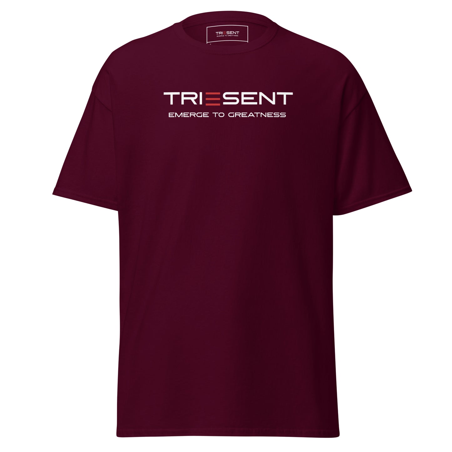 TRIESENT Men's classic tee