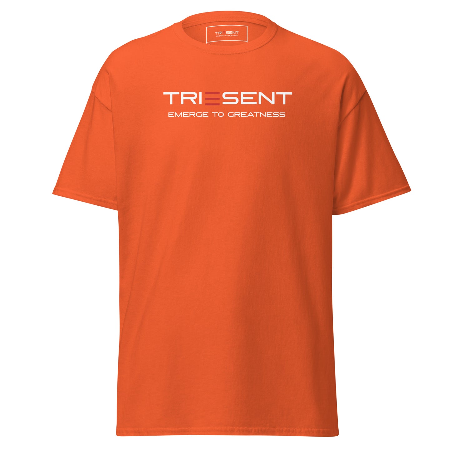 TRIESENT Men's classic tee