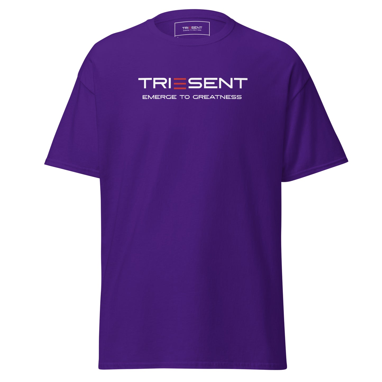 TRIESENT Men's classic tee