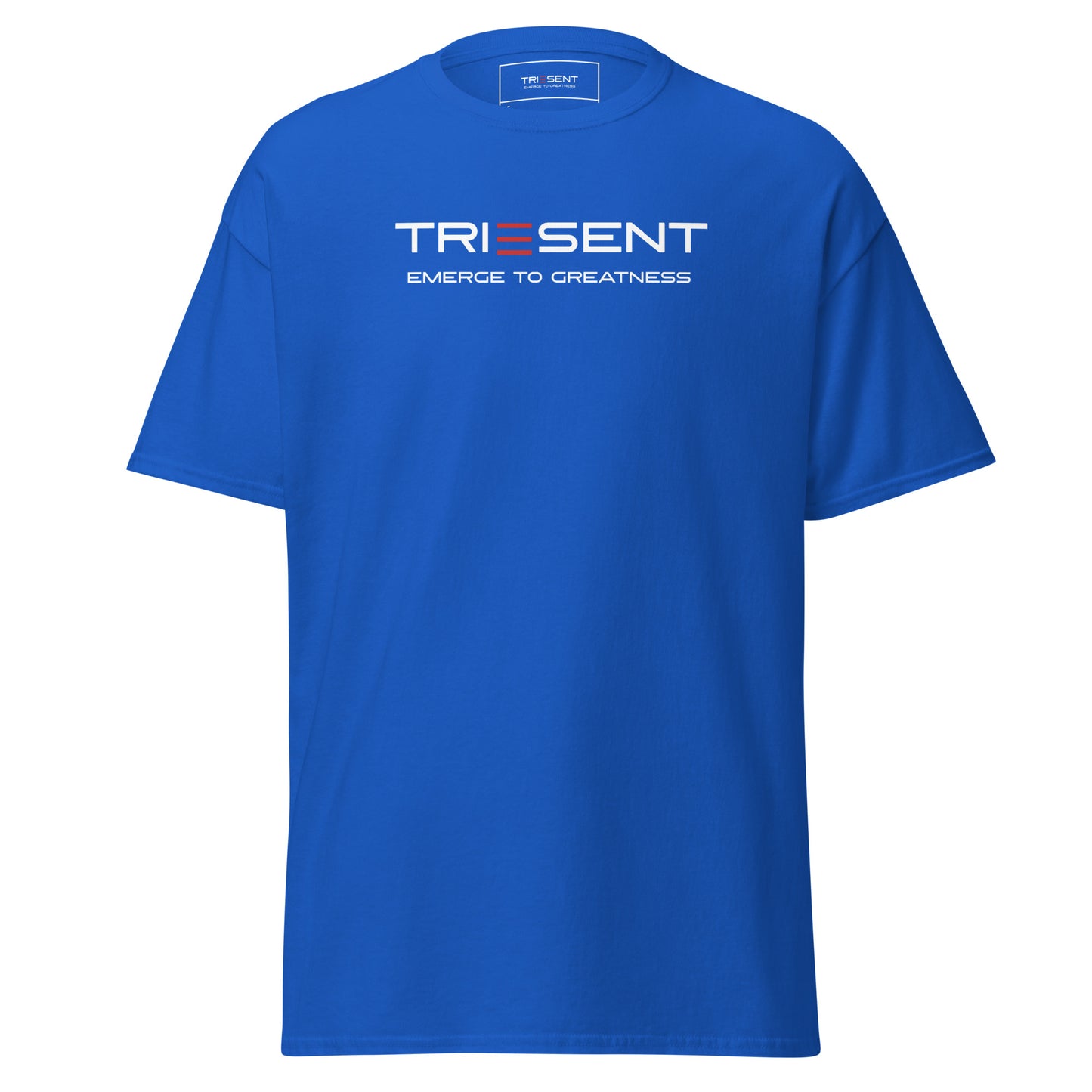 TRIESENT Men's classic tee