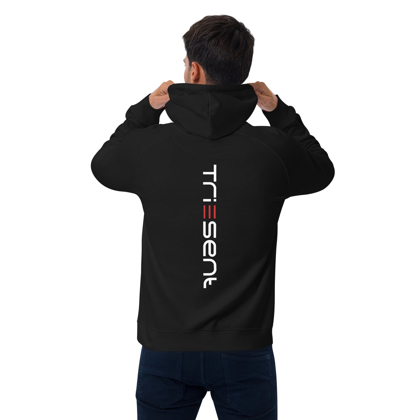 TriEsent Ra and Horus Hoodie