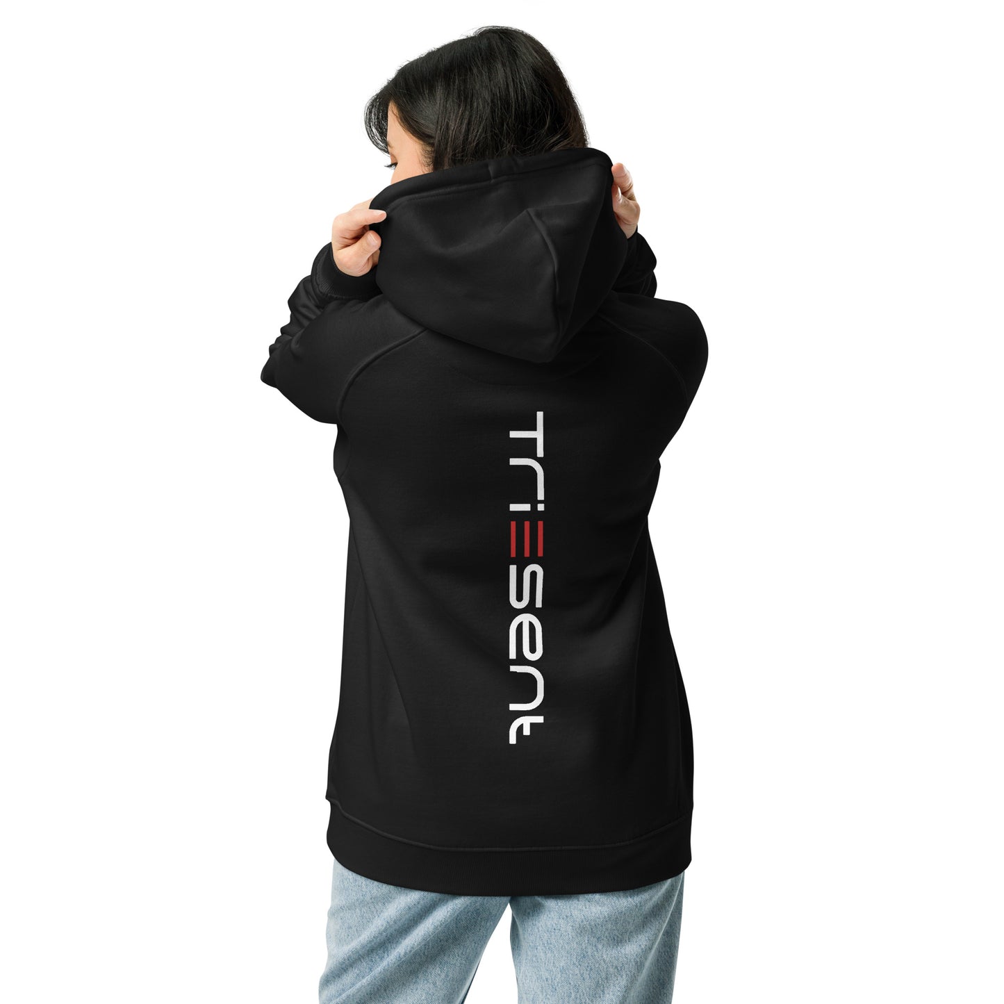 TriEsent Ra and Horus Hoodie