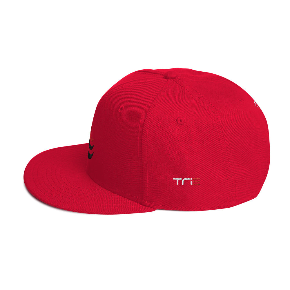 TriCres Snapback Hat